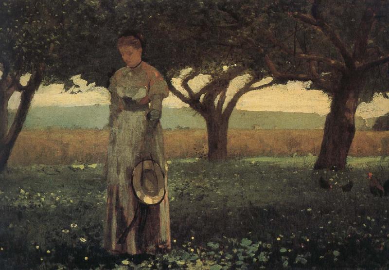 Winslow Homer The girl in the orchard oil painting image
